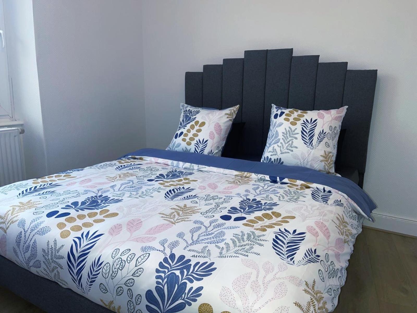 Magnifique Appartement Charmant T3 80M2 Parking Gratuit Rosheim Екстер'єр фото